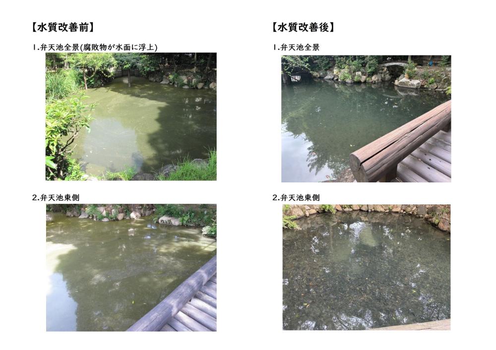 水質改善前・改善後の様子
