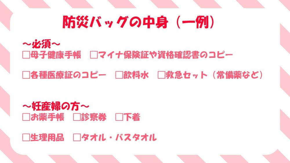 防災バッグの中身1(一例)